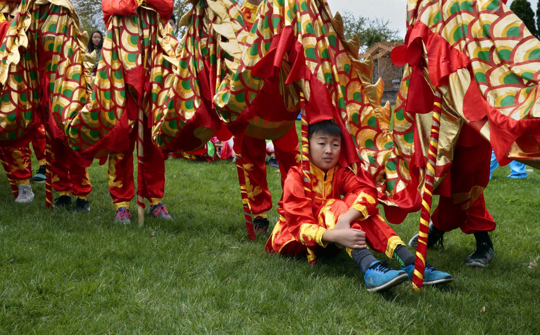Discovering Chinese culture at MoBot